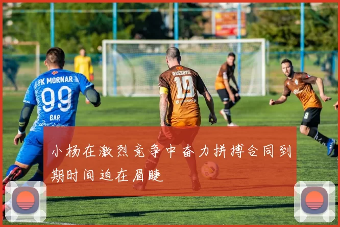 小杨在激烈竞争中奋力拼搏合同到期时间迫在眉睫