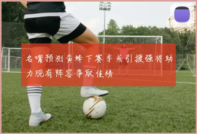 名嘴预测黄蜂下赛季或引援强将助力现有阵容争取佳绩